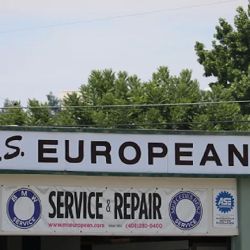 M.S. European ico