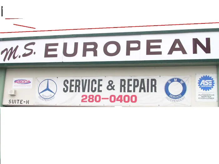 M.S. European 5