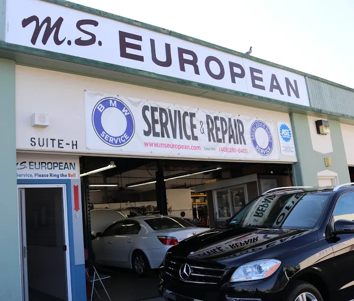 M.S. European 3