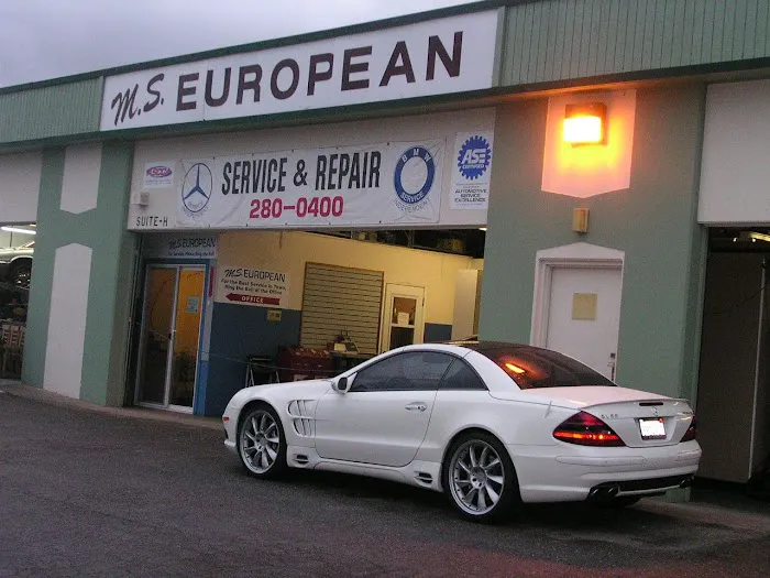 M.S. European 4