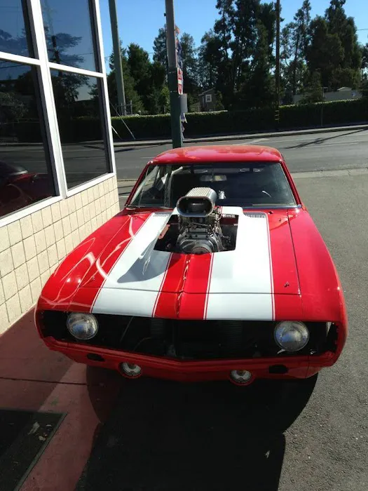 Auto Sport Pro-Body 6