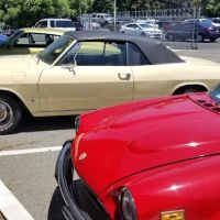 Wardell Auto Interiors & Tops