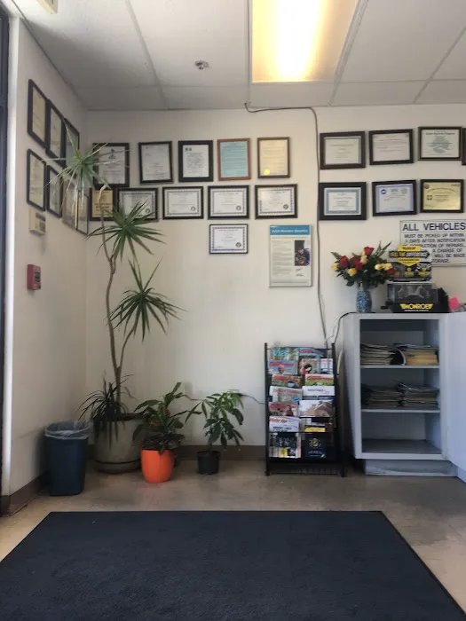 Bay Star Auto Care 1