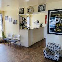 Hayward Wheels Repair & Tires