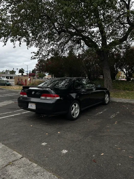 Comp U Tune & Brake 4