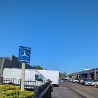 White oaks Mercedes