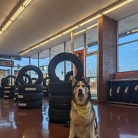 Firestone Complete Auto Care