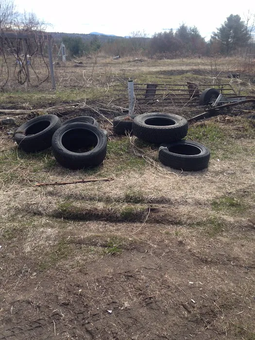 Noyes Automotive & Tire 8