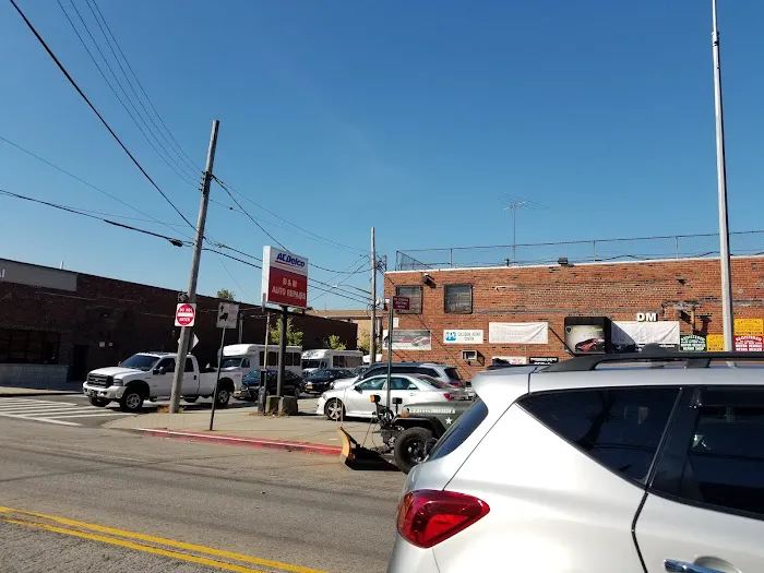 Bronx Auto Plaza, Inc 3