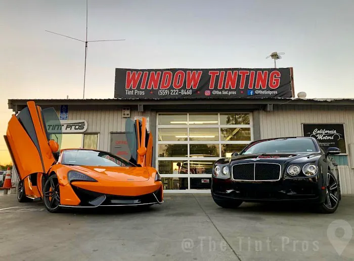 Tint Pros 7