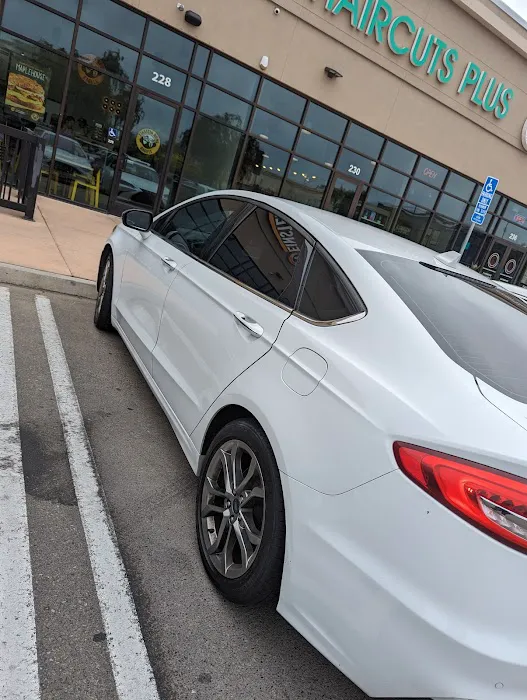 Tint Pros 3