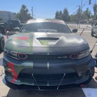 Luis tires
