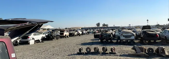 Pick-n-Pull 4