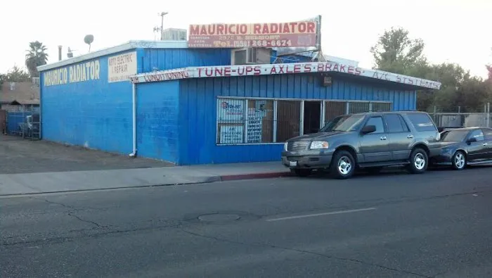Mauricio Radiator 2