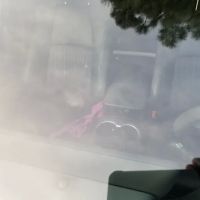 Chips Windshield Repair