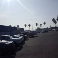 NAPA Auto Parts