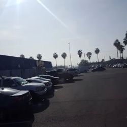 NAPA Auto Parts ico