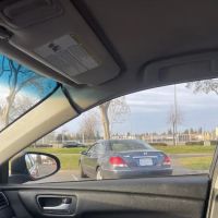 Dynasty Auto Glass