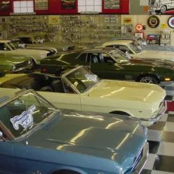 Mustang Ranch of Fresno ico