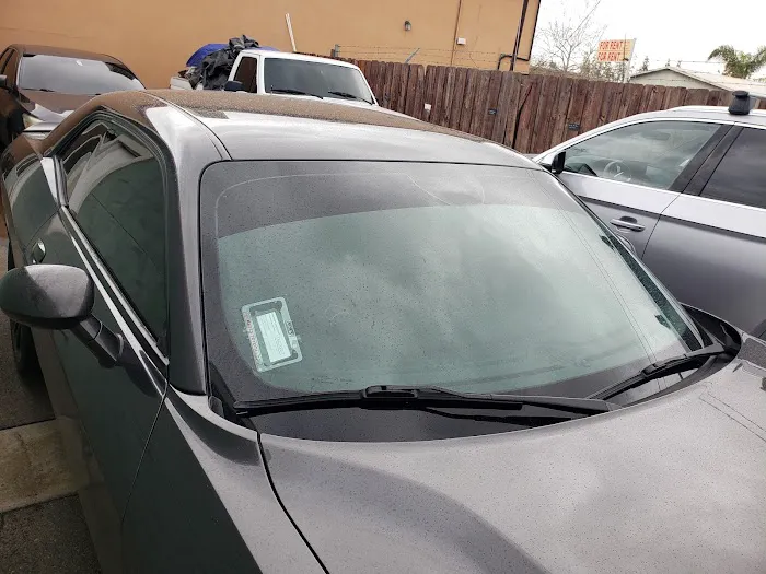 Baja Tint 2
