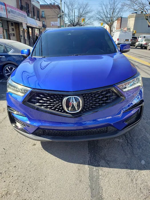 Alpha auto collision 7