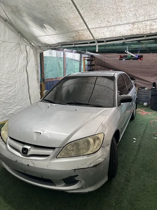King of tints 3