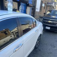 King of tints