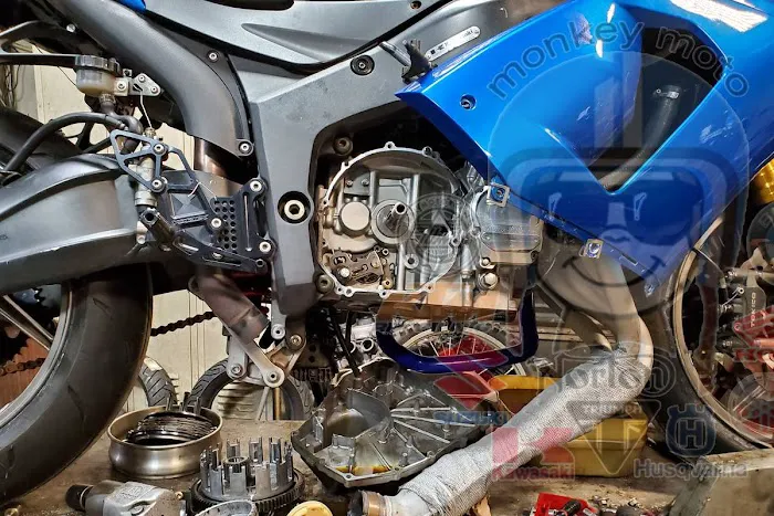 monkeymoto 7
