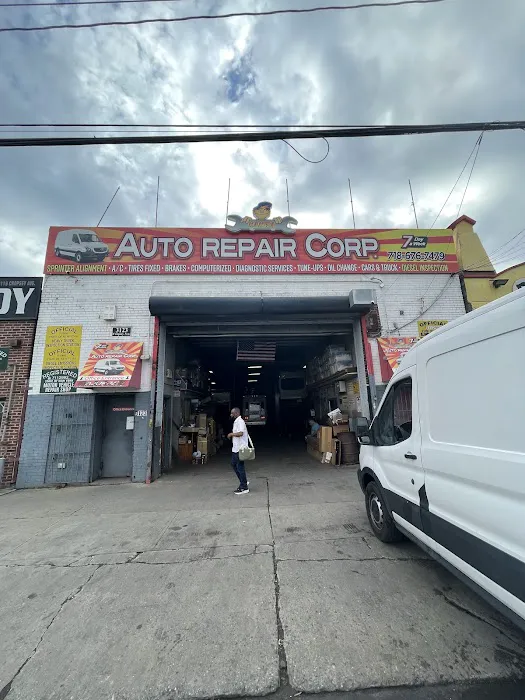 Sasha Auto Repair 2