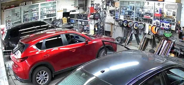 Electroautoglass 9