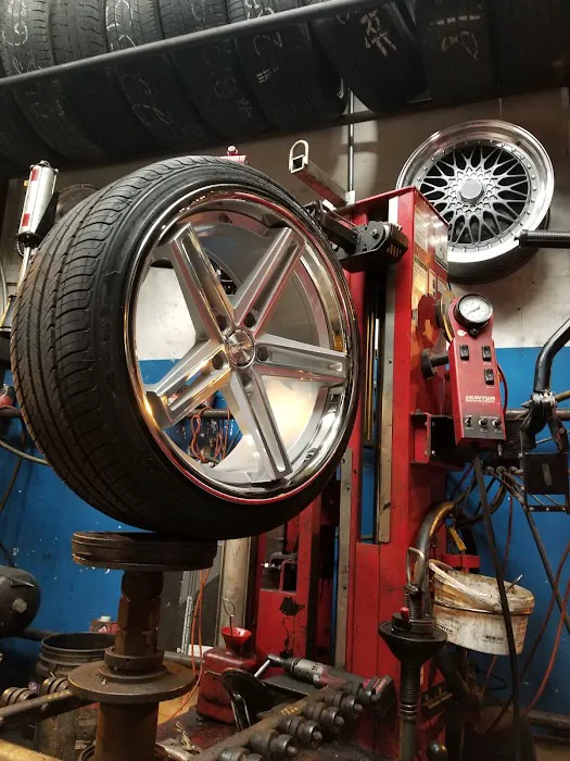 El garrovero tires 1