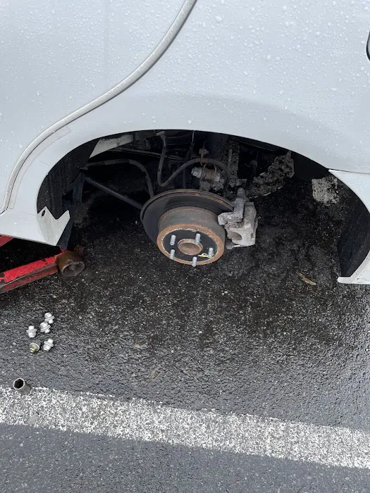 Chico Tire 8