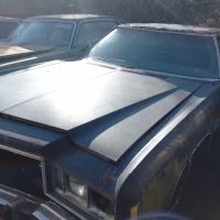 DONK QUARTERS