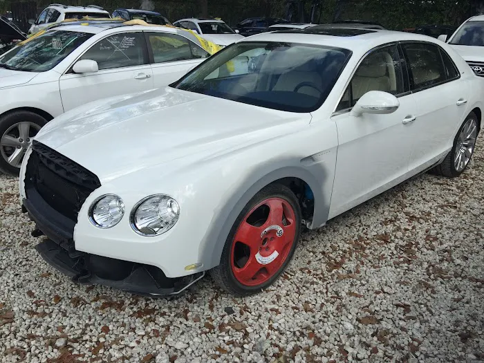 Shining Star Collision 9