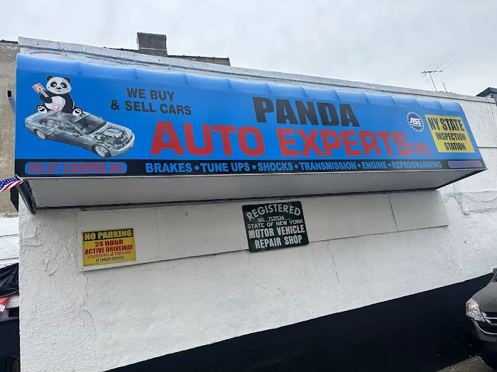 panda auto experts 0