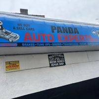panda auto experts