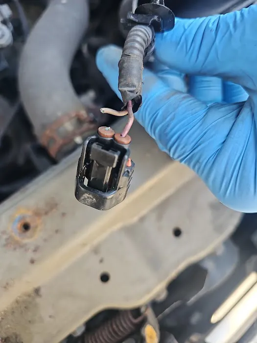 Tony's Auto Repair 3