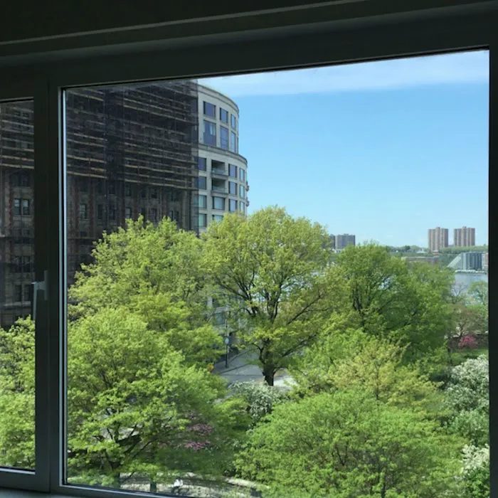 American Window Film NYC 9