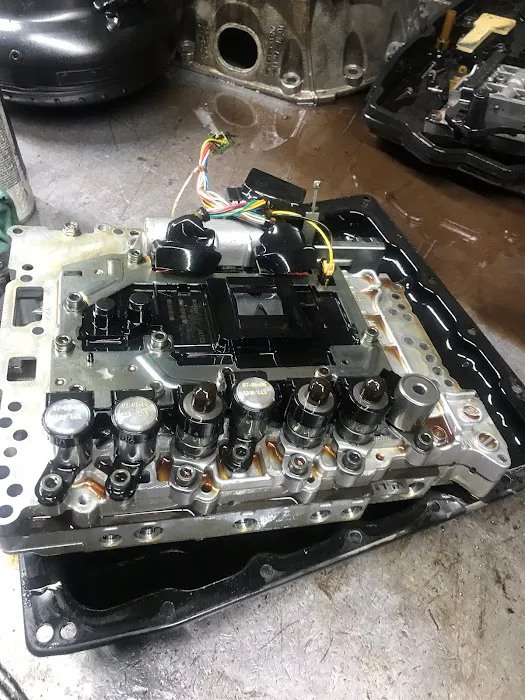 Amado Transmissions 0