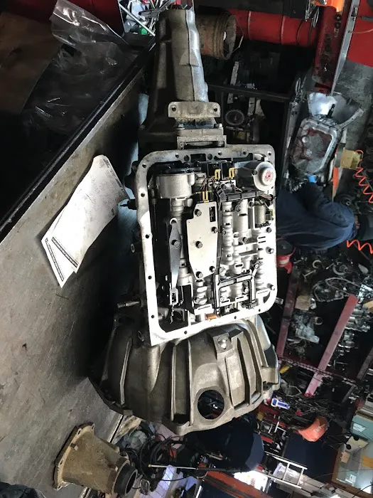 Amado Transmissions 4