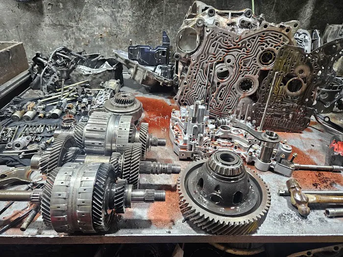 Amado Transmissions 7