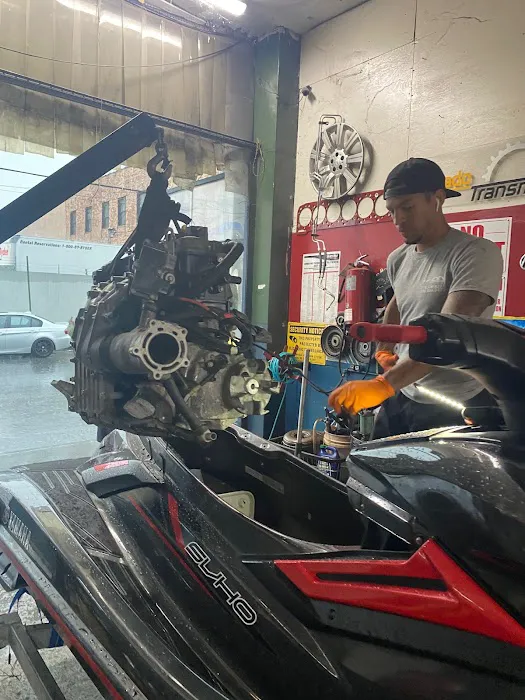 Amado Transmissions 5