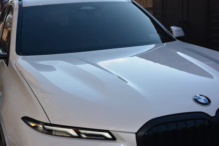 Vinyl and Film Solutions 3