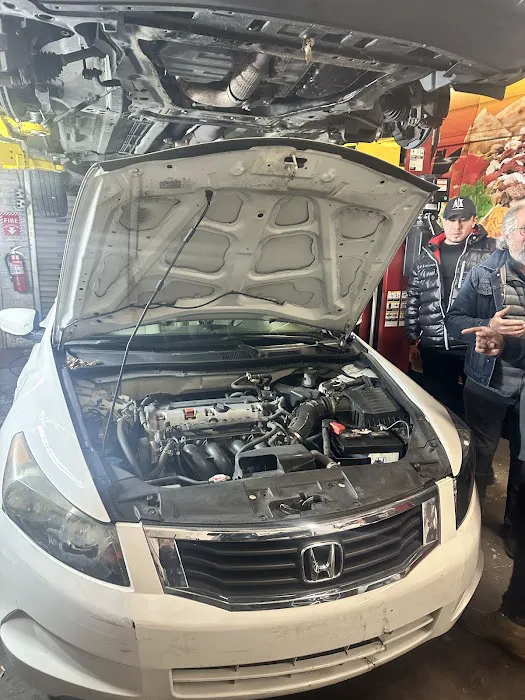 Alfa Ignition 9
