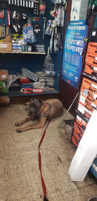 Ralph's Auto Center 3