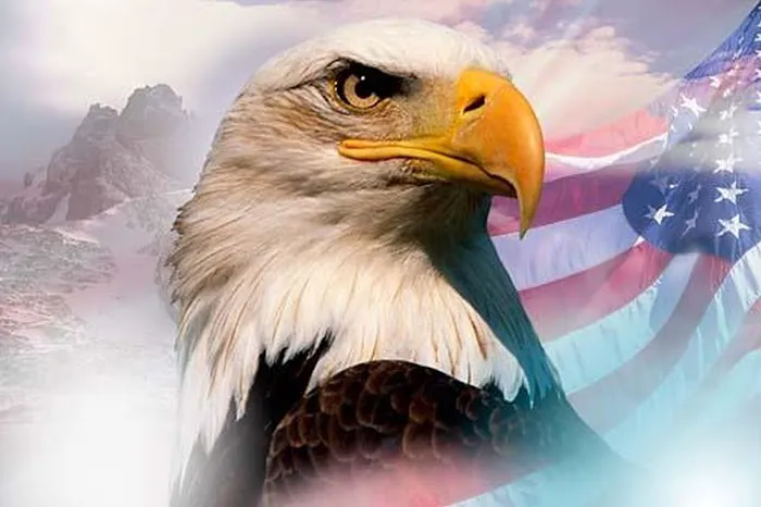 TOLTECAS Alternator's & Starter's. Chavez. 0