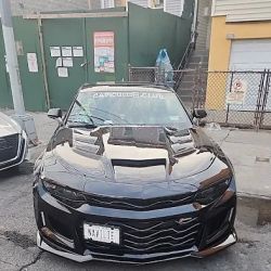 Arthur Ave Auto Collision Inc ico