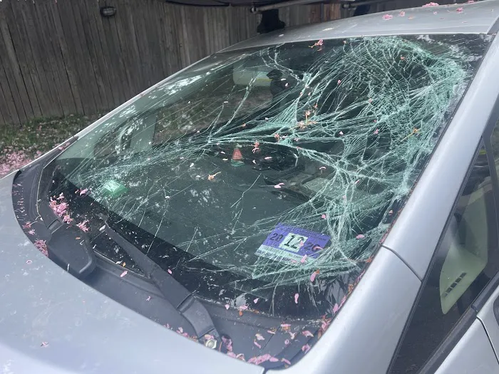 MATA’s AUTO GLASS MOBILE LLC 3
