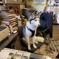 V & V Auto Repair shop Allentown Pa