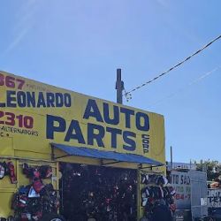 Leonardo Auto Parts ico